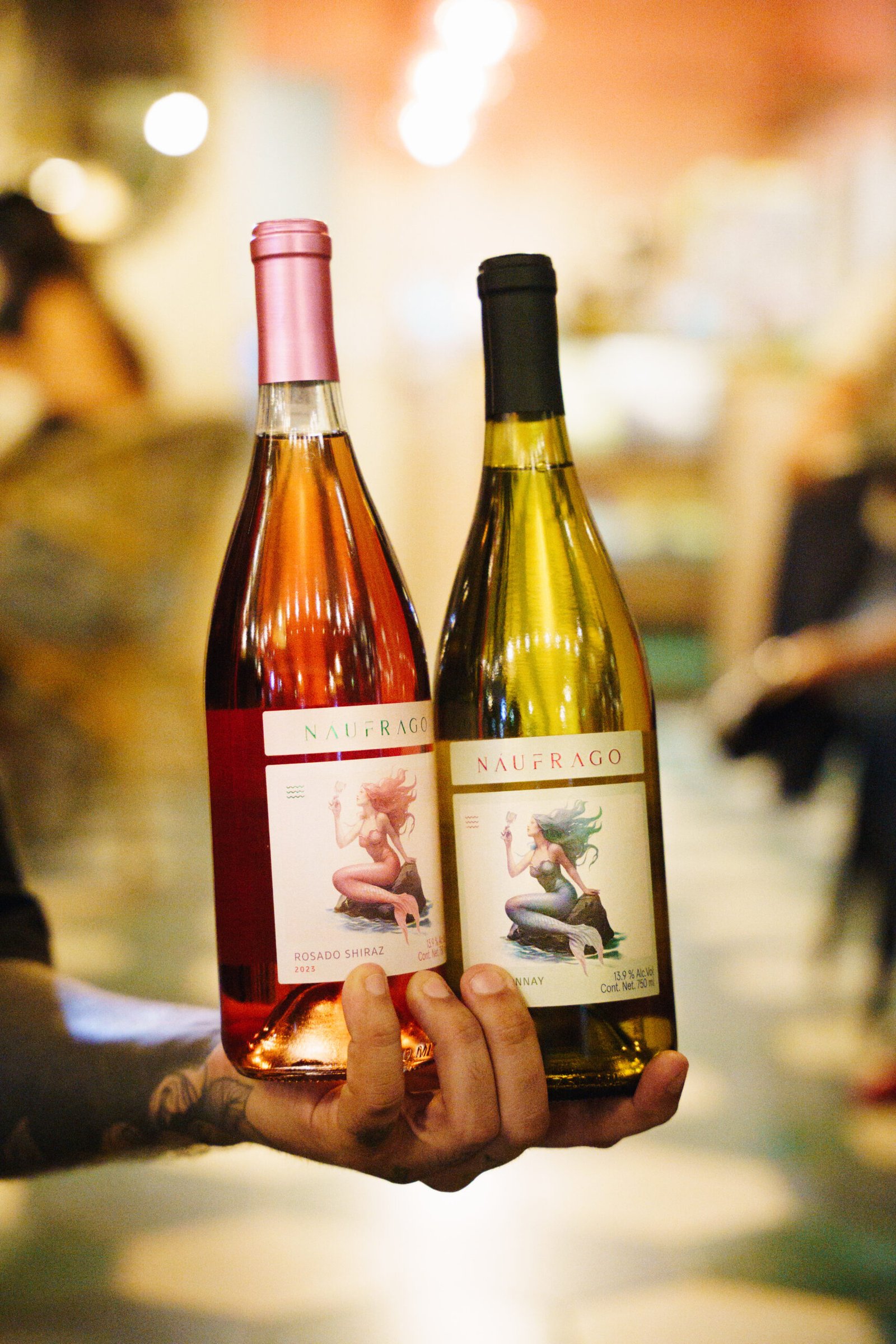 Tertuliano Café · NOEMA Estudio · Contenido para RRSS 2024-2025