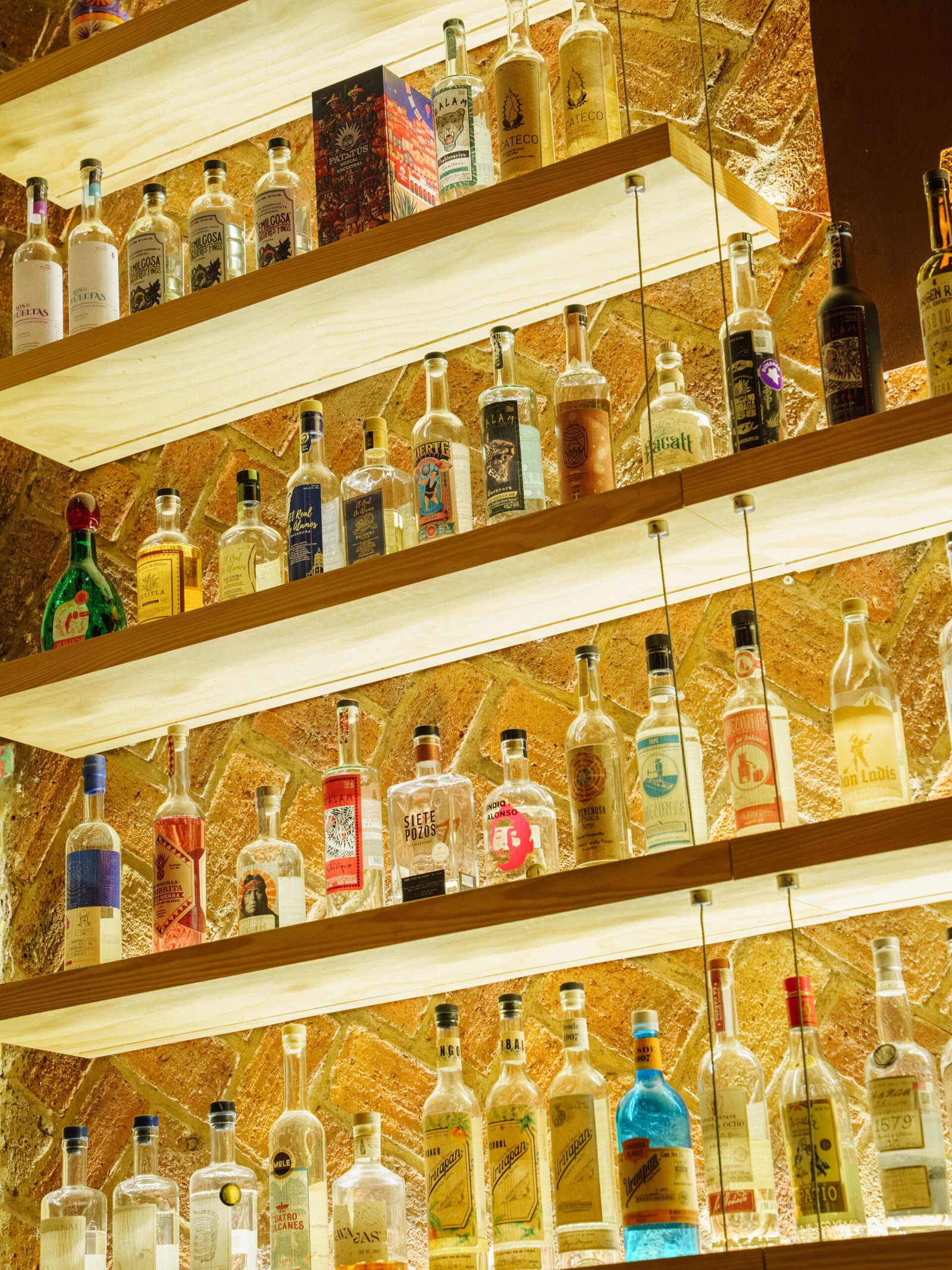 Who Studio x Axno Bar · NOEMA Estudio · Fotografía Arquitectónica 2025