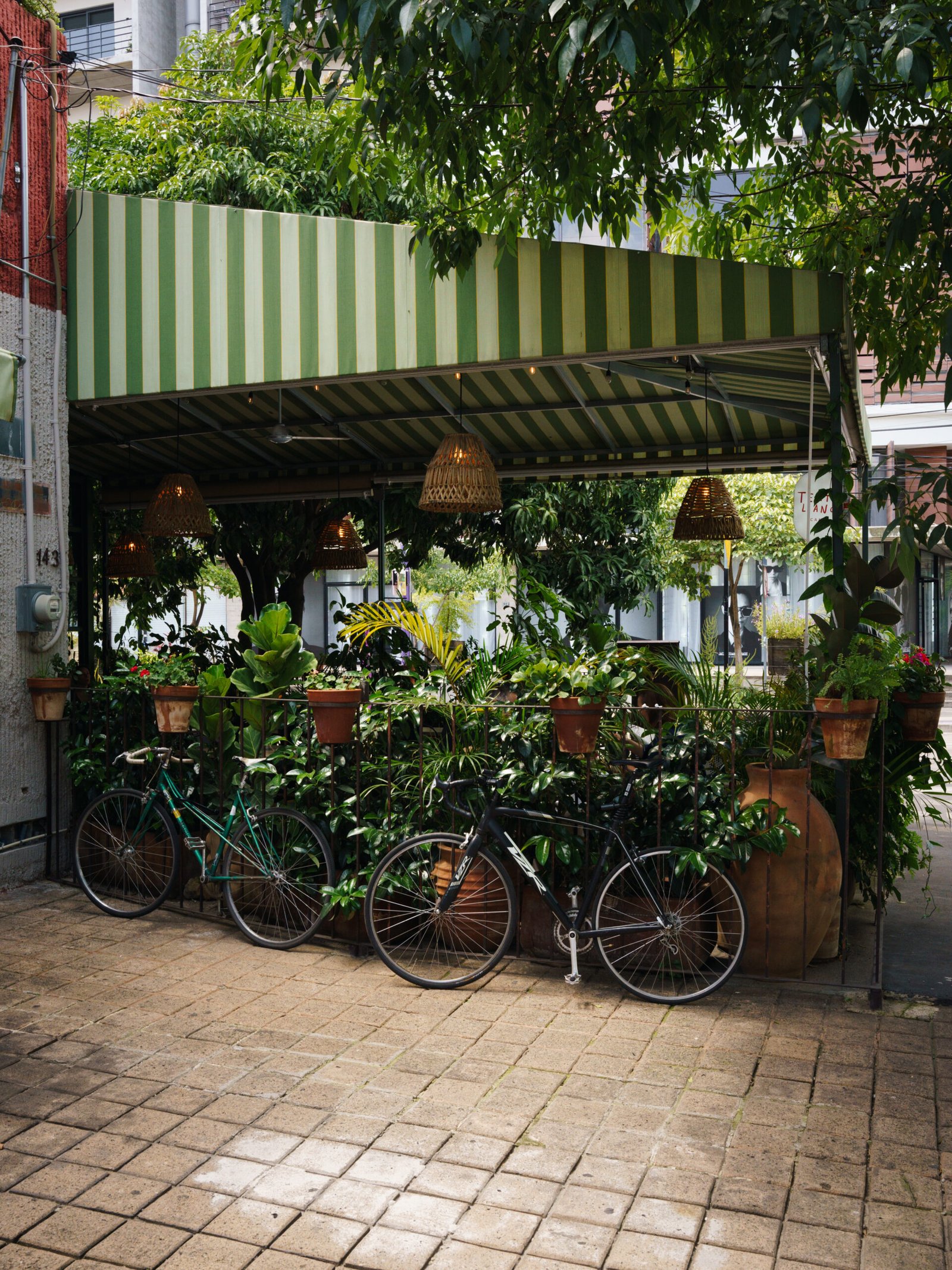 Tertuliano Café · NOEMA Estudio · Contenido para RRSS 2024-2025