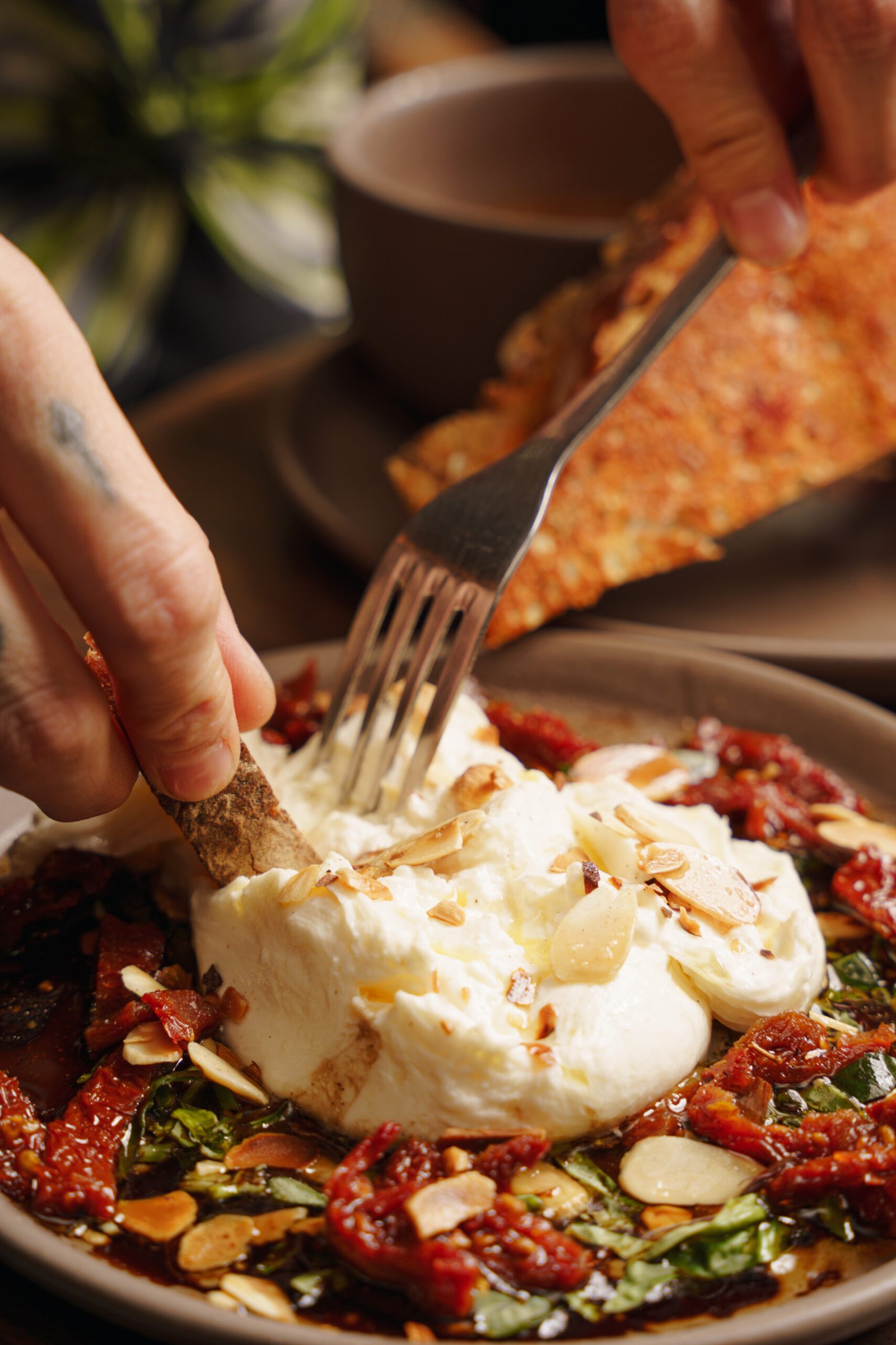 Tertuliano Café · NOEMA Estudio · Contenido para RRSS 2024-2025