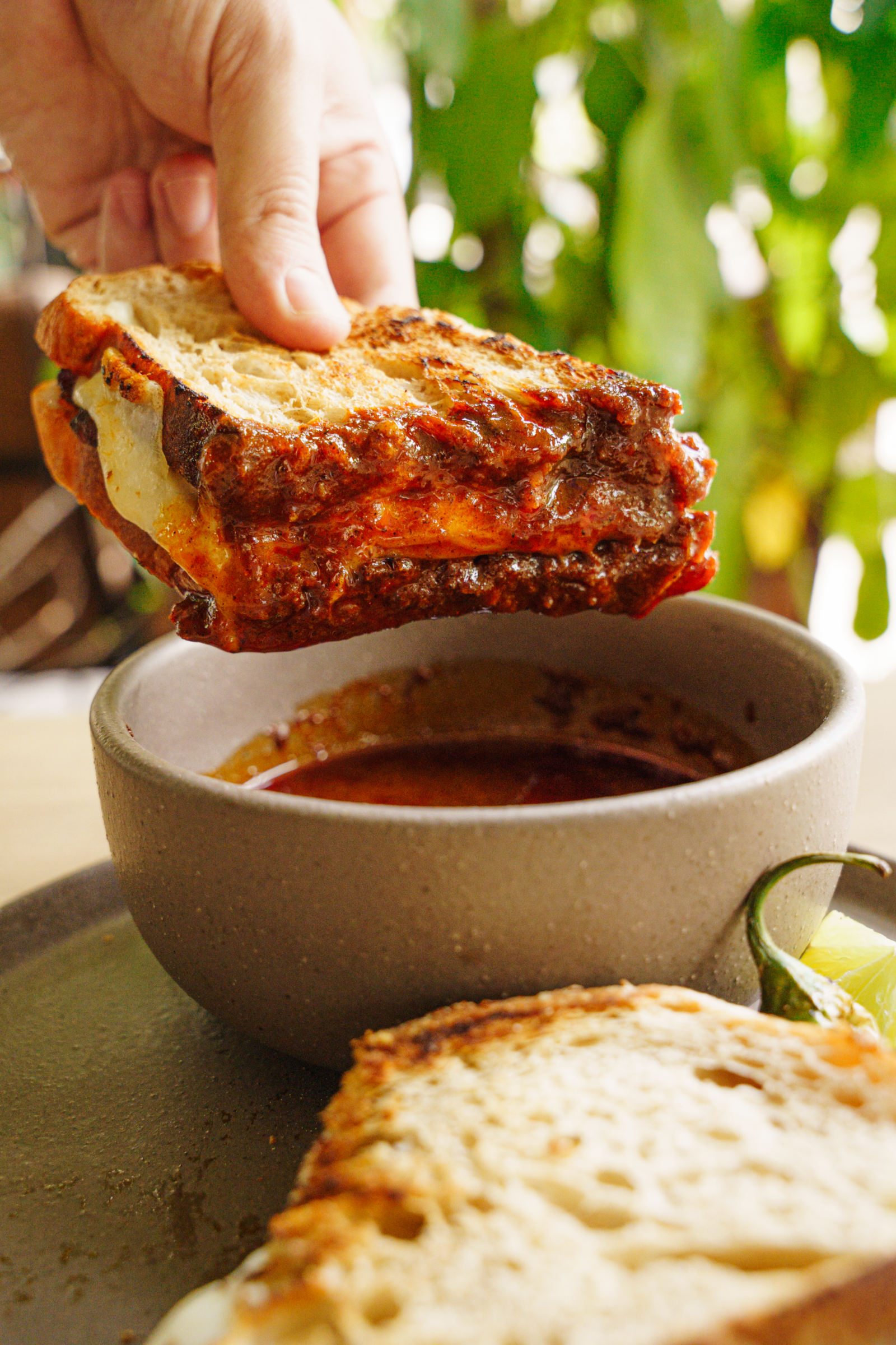 Tertuliano Café · NOEMA Estudio · Contenido para RRSS 2024-2025