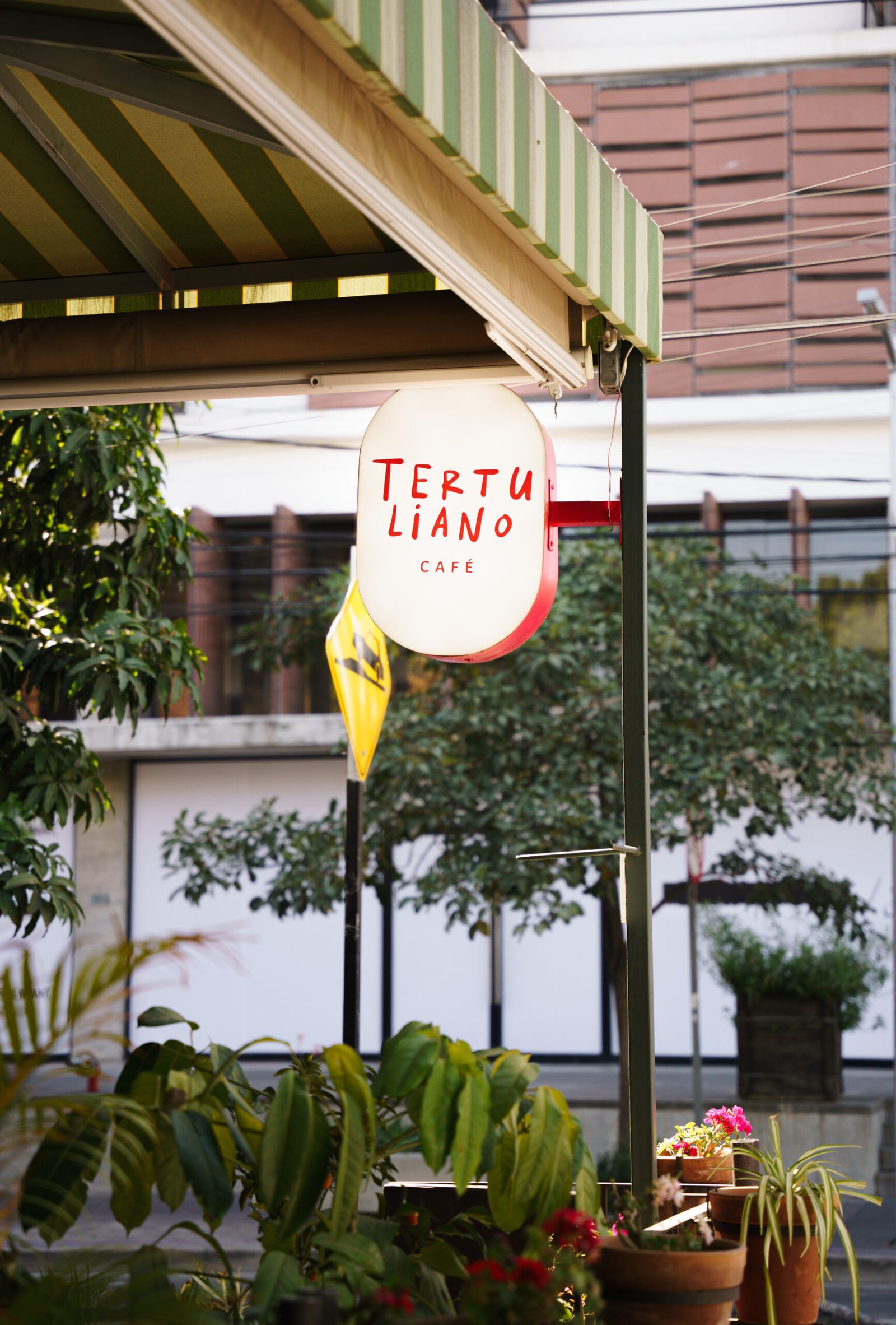 Tertuliano Café · NOEMA Estudio · Contenido para RRSS 2024-2025